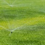 Sprinkler